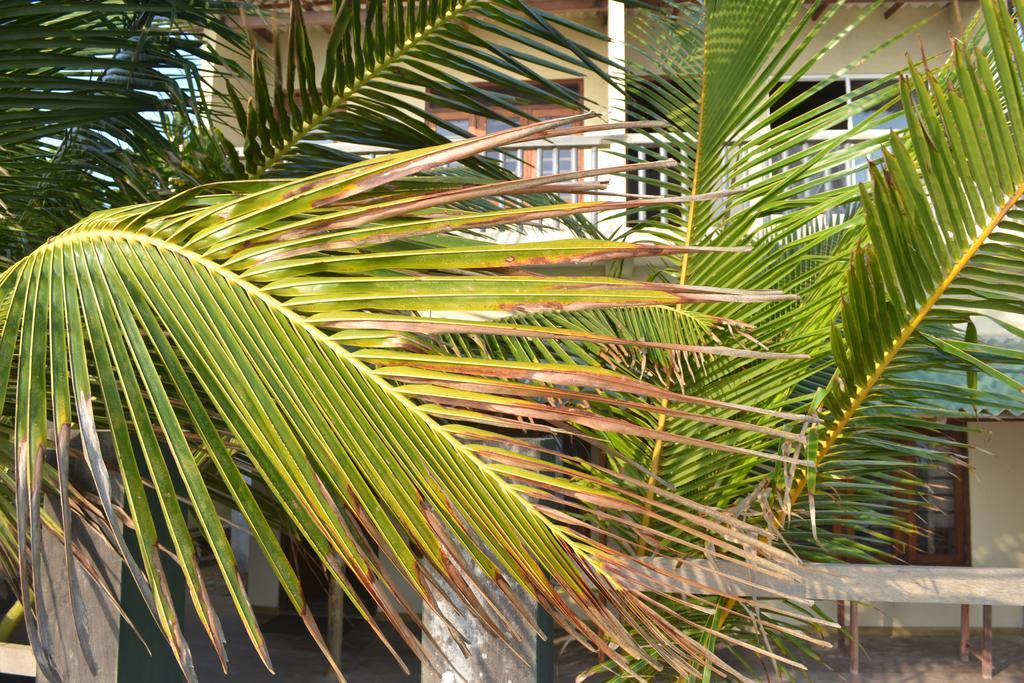 Beach Arthur Villa Galle Ngoại thất bức ảnh
